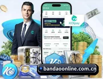 半岛综合 APP 深度功能
